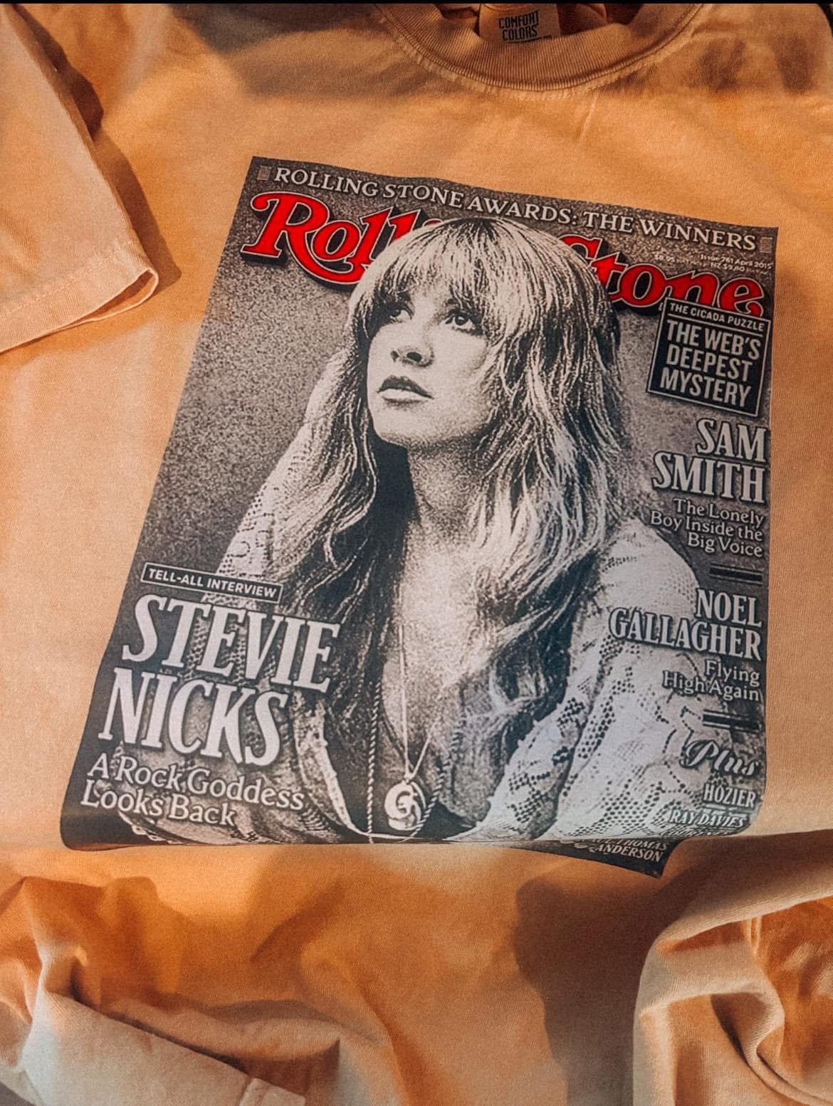 Stevie Nicks
