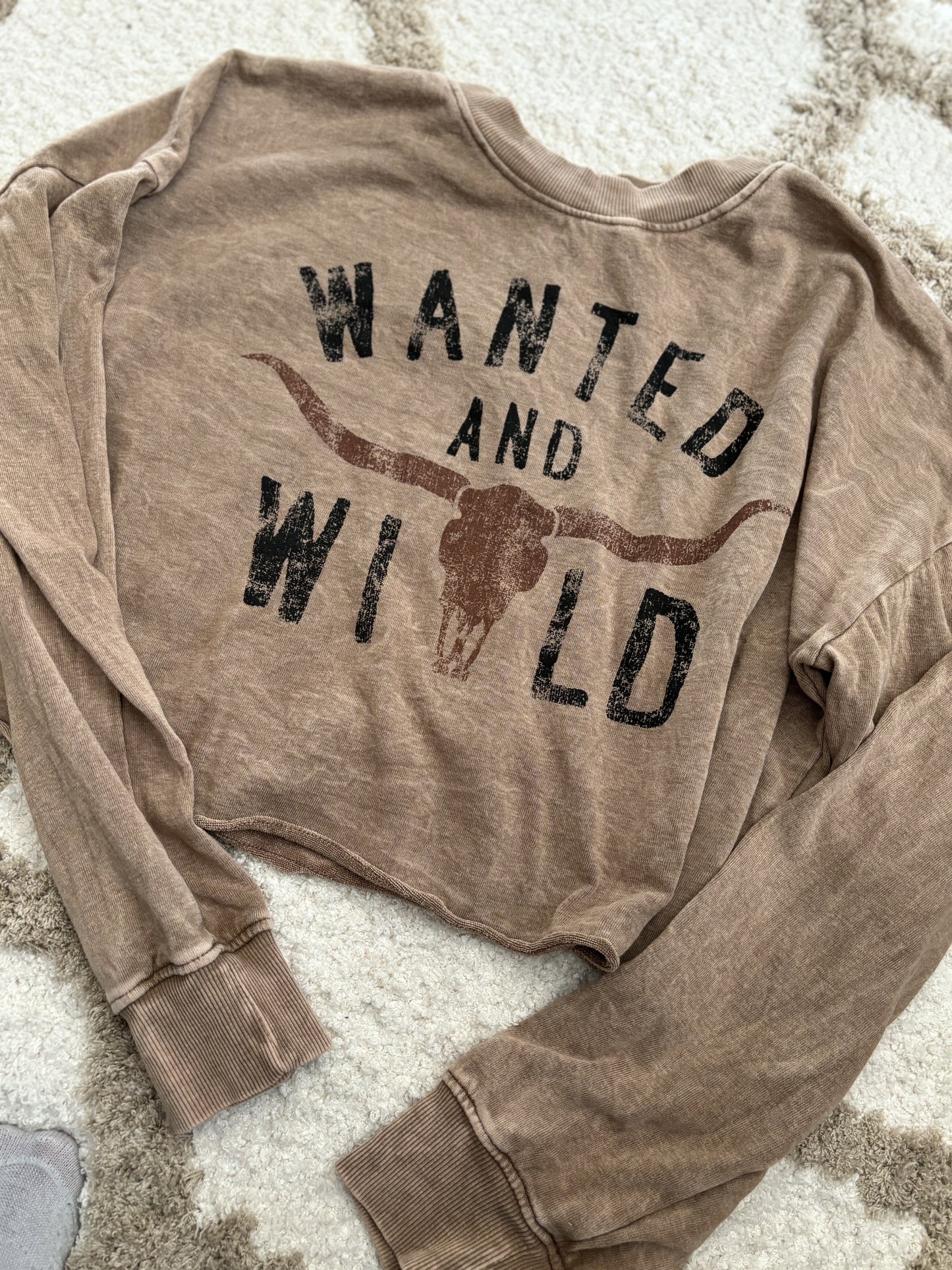 Wanted and Wild Mineral Cropped Sweatshirt